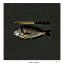 TM Fish Knife